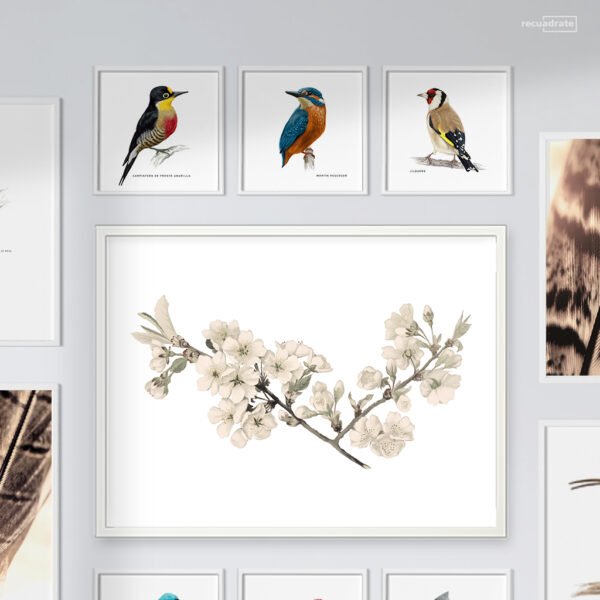 Galería de Pared Aves - Imagen 2