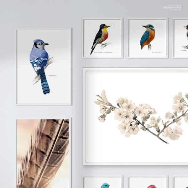 Galería de Pared Aves - Imagen 11