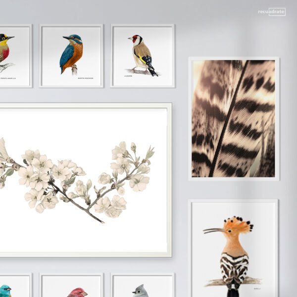 Galería de Pared Aves - Imagen 10