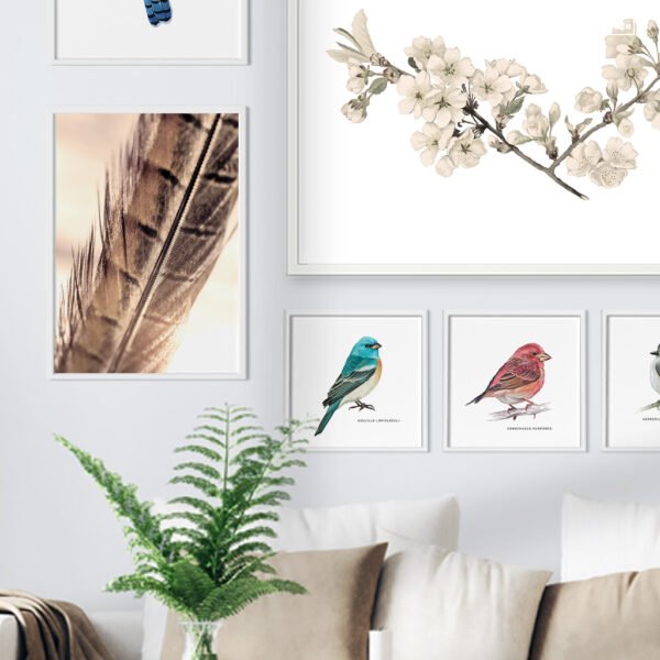 Galería de Pared Aves - Imagen 8