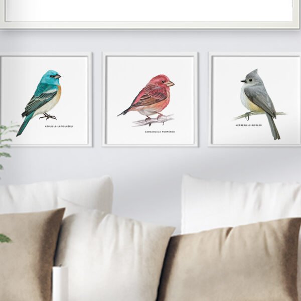 Galería de Pared Aves - Imagen 7