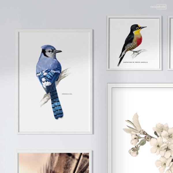 Galería de Pared Aves - Imagen 5