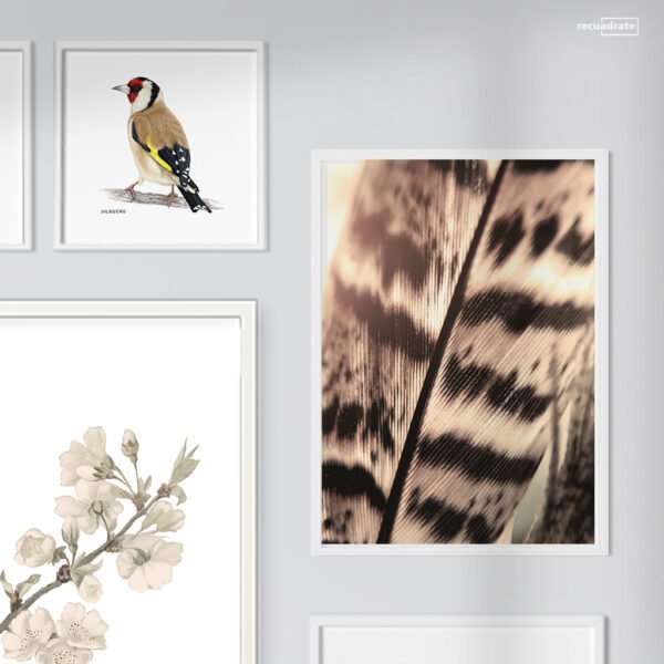 Galería de Pared Aves - Imagen 4