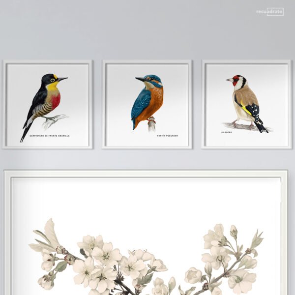 Galería de Pared Aves - Imagen 3