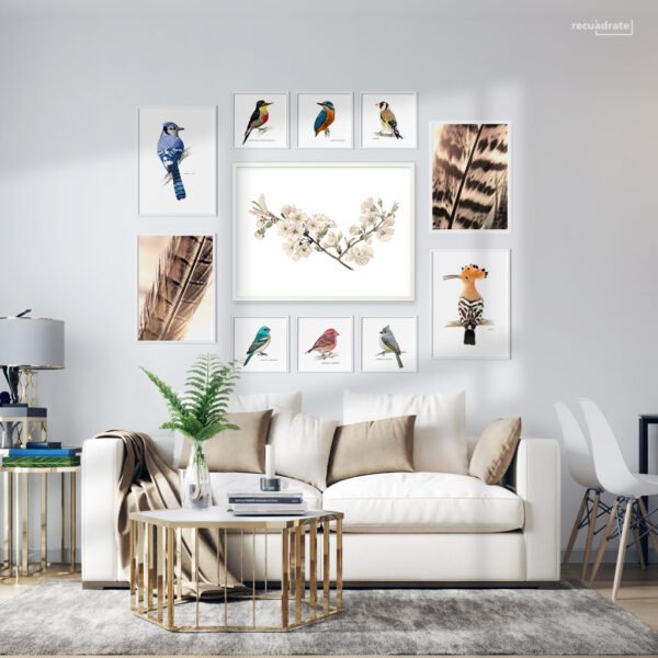 Galería de Pared Aves
